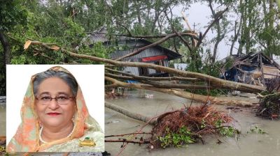 প্রধানমন্ত্রী মহাদুর্যোগের মুহূর্তে হঠাৎ কেন তারেককে নিয়ে চিন্তিত হলেন