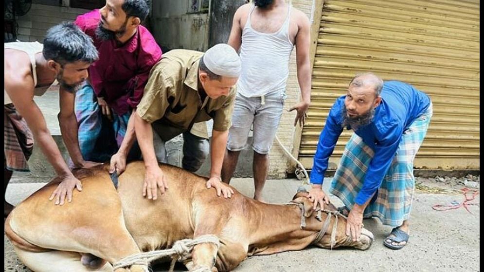 রাজধানীতে ১২ লাখ পশু কোরবানি