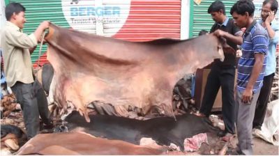 চট্টগ্রামে এবার সাড়ে ৩ লাখ পশুর চামড়া সংগ্রহের লক্ষ্যমাত্রা