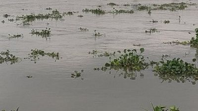 হু হু করে বাড়ছে পানি, ২৪ ঘণ্টায় কুড়িগ্রামে বন্যার শঙ্কা