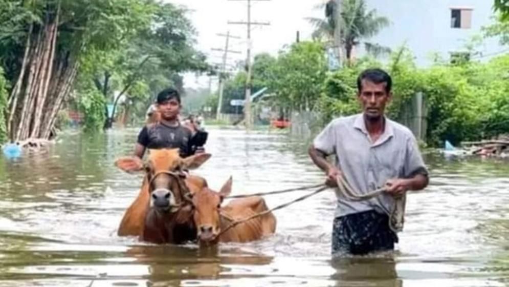 বন্যায় পানিবন্দি সাড়ে ৪ লাখ পরিবার, ৮ জনের মৃত্যু