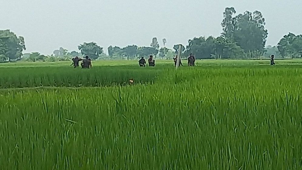 আবারও সীমান্তে বিএসএফের কাঁটাতারের বেড়া নির্মাণচেষ্টা, রুখে দিল বিজিবি