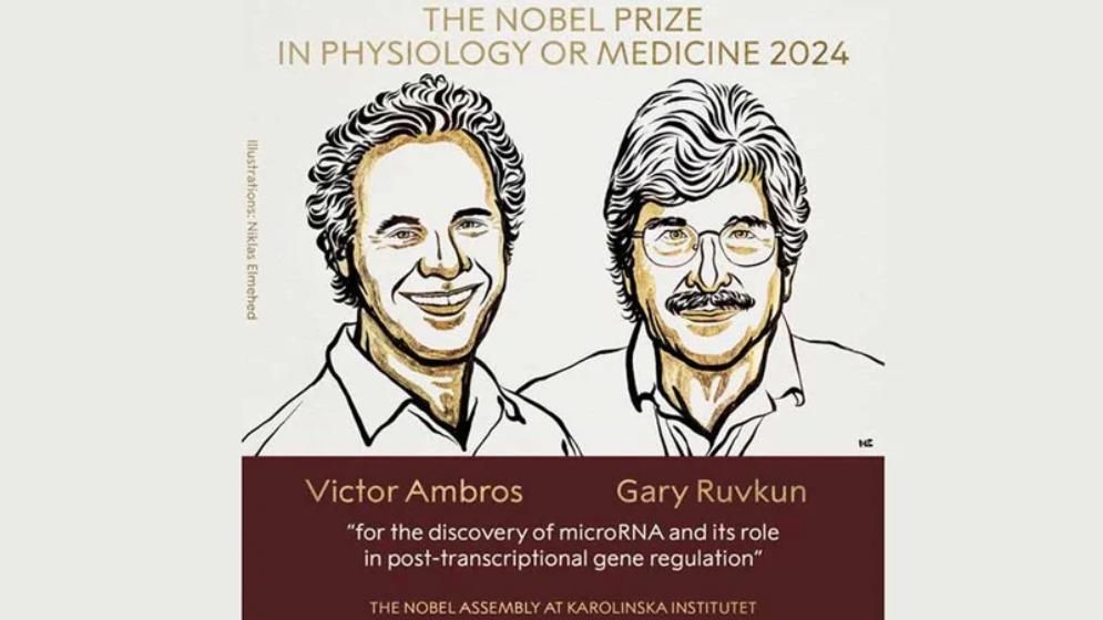 চিকিৎসায় নোবেল পেলেন ভিক্টর অ্যামব্রোস ও গ্যারি রাভকুন